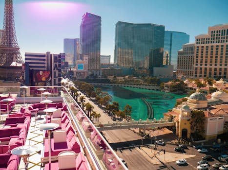 PointsBet Mobile Sportsbook CA: Features, Registration, And Betting Experience