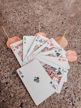 PointsBet Online Casino Canada: Full Guide To Features, Games, And Regulations